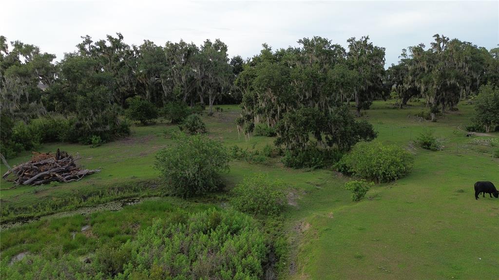 10900 Old Tampa Road Parrish, FL 34219 - Photo 5 of 6