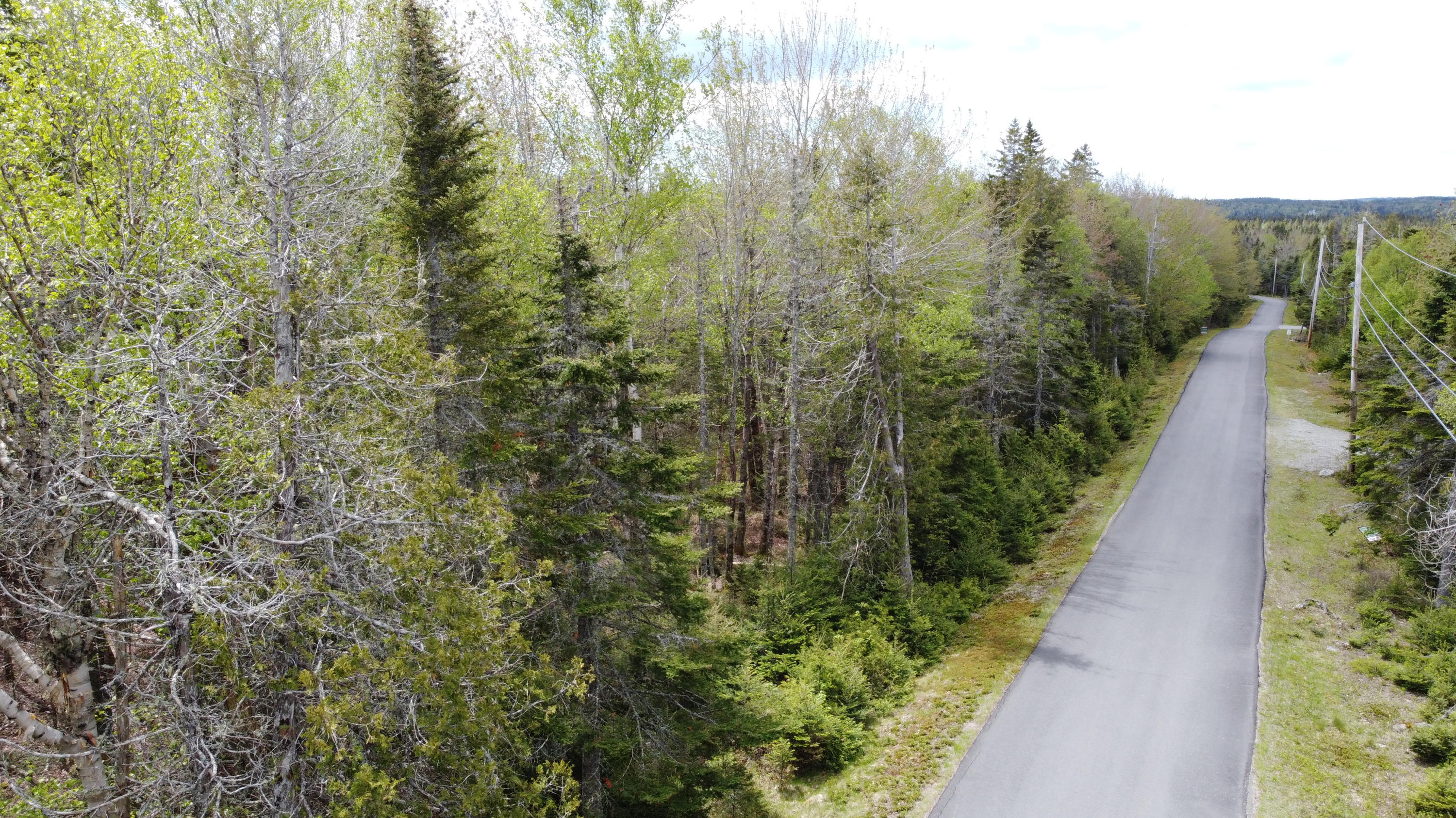 84 Yoho Head Road Machiasport, ME 04655 - Photo 5 of 12 DJI_0182