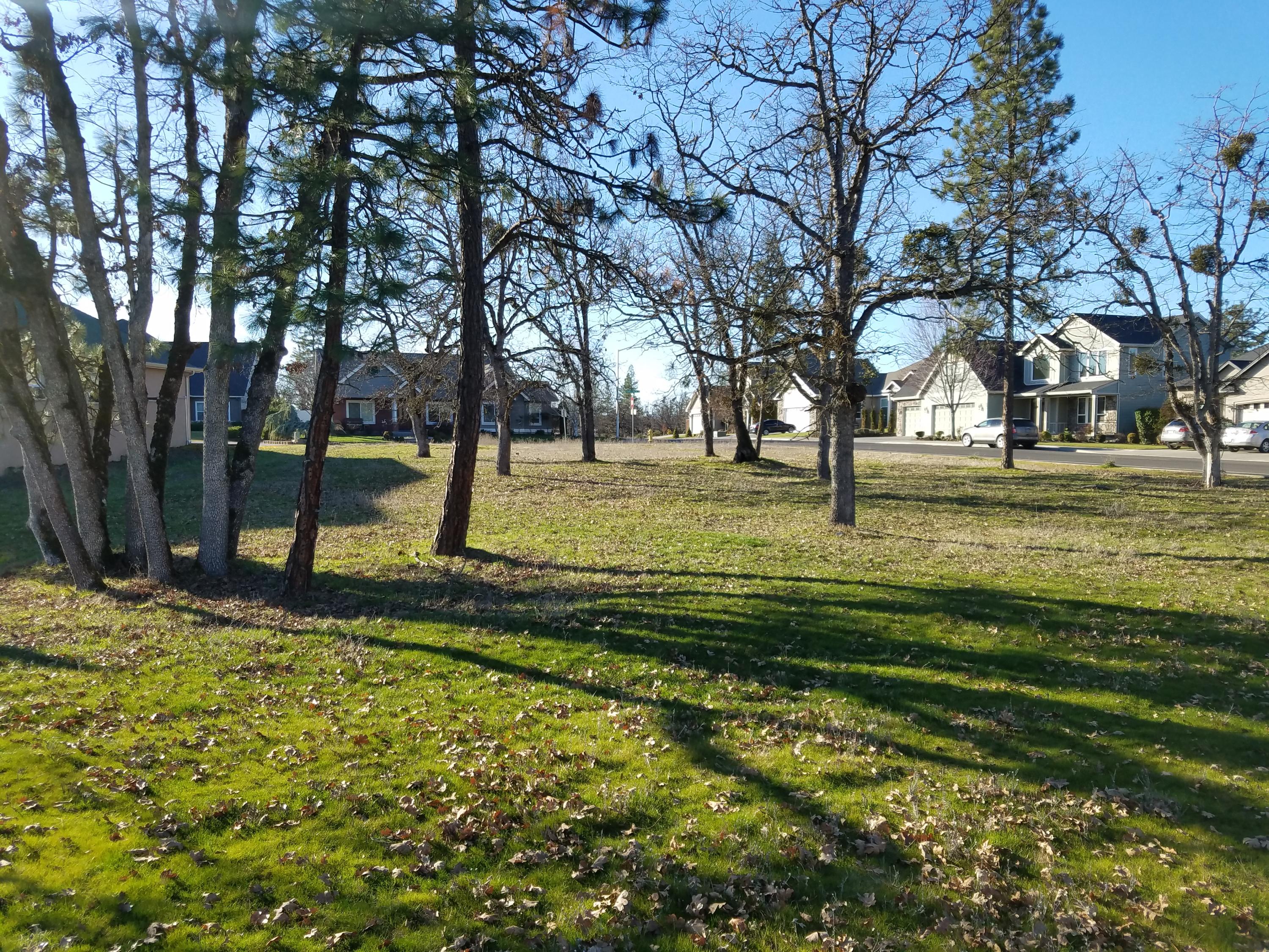 118 Pebble Creek Drive Eagle Point, OR 97524 - Photo 10 of 12 20180212_153444