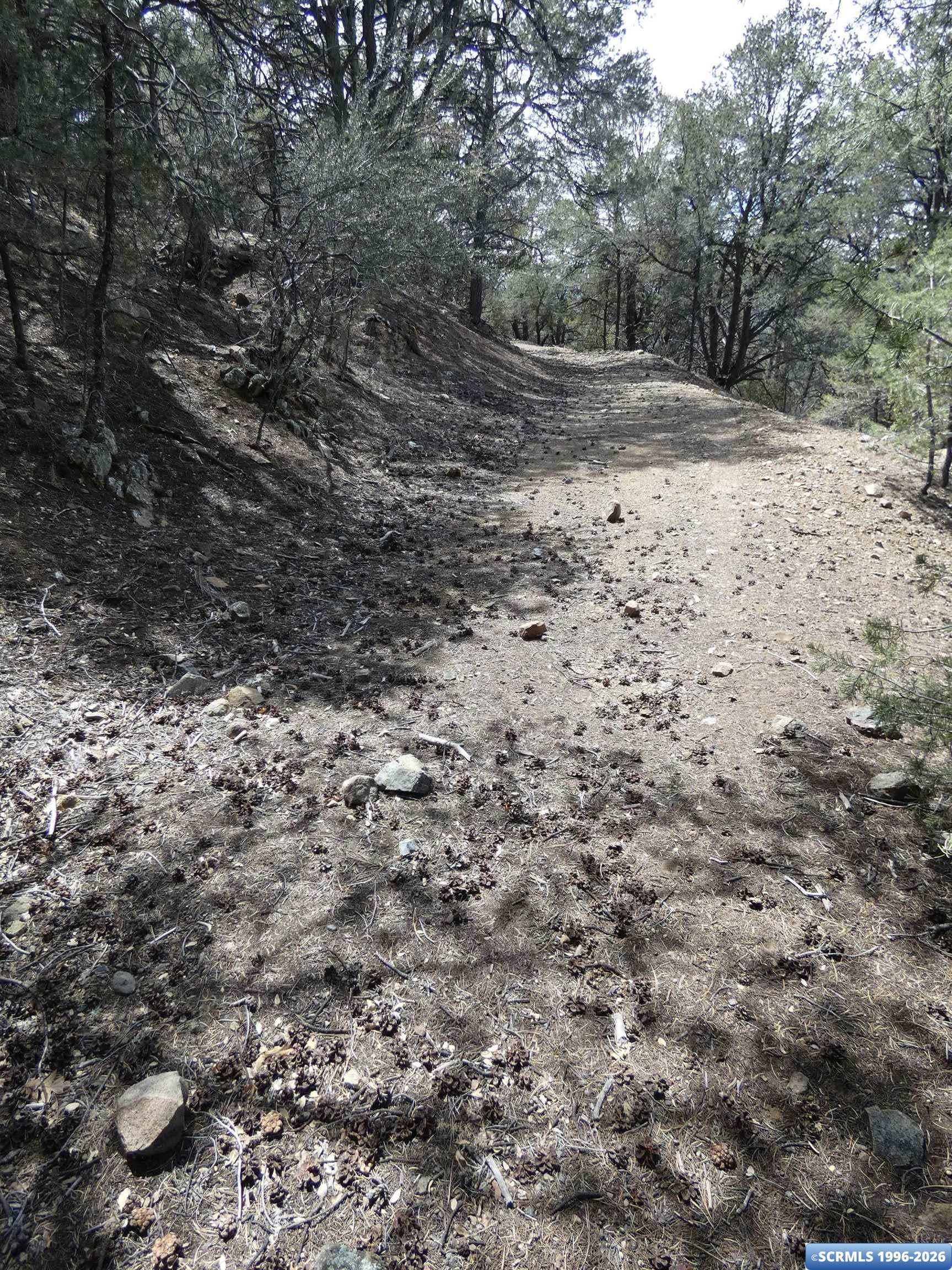 ## Radio Tower Road Silver City, NM 88061 - Photo 9 of 15 Gallery Image 9