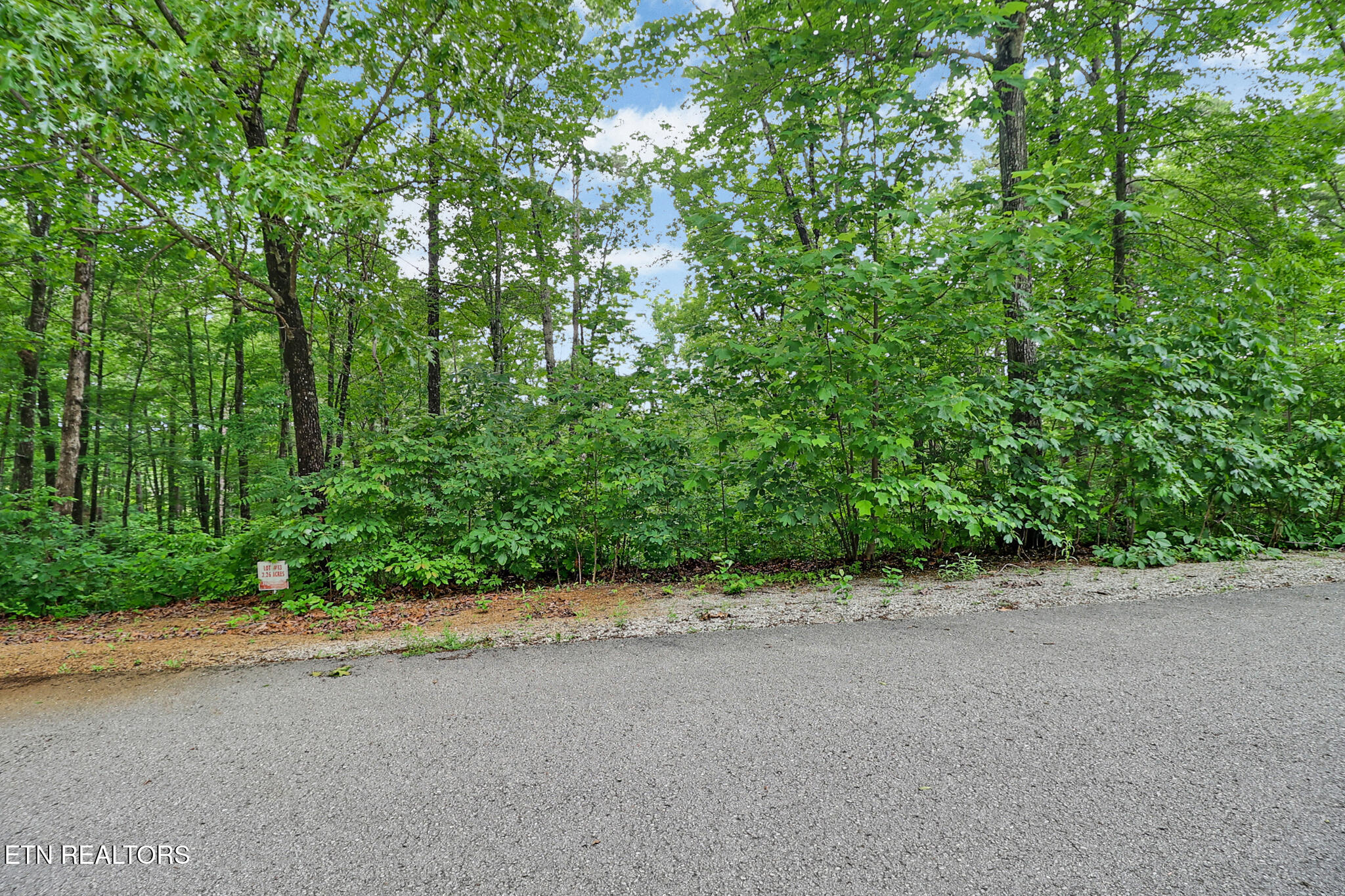 Eagle Bluff Jamestown, TN 38556 - Photo 6 of 37 n44a8513-n44a8517
