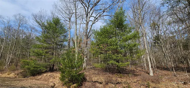 $94,900 | Lot 20.22 Woods Road, Barryville, NY 12719