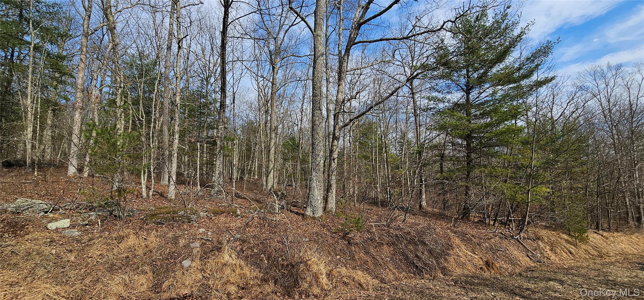 Lot 20.22 Woods Road Barryville, NY 12719 - Photo 11 of 20 a view of outdoor space with lots of trees
