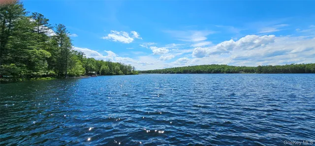 a view of a lake with a yard