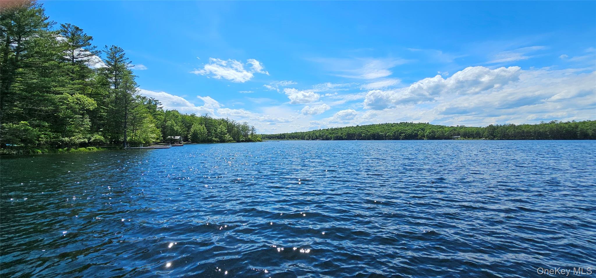 Lot 20.22 Woods Road Barryville, NY 12719 - Photo 16 of 20 a view of a lake with a yard