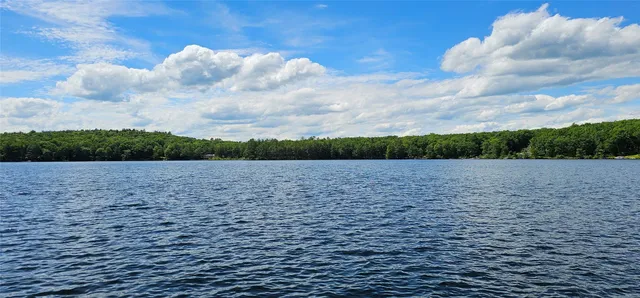 $94,900 | Lot 20.22 Woods Road, Barryville, NY 12719