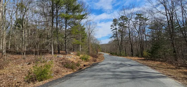 $94,900 | Lot 20.22 Woods Road, Barryville, NY 12719