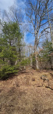 $94,900 | Lot 20.22 Woods Road, Barryville, NY 12719