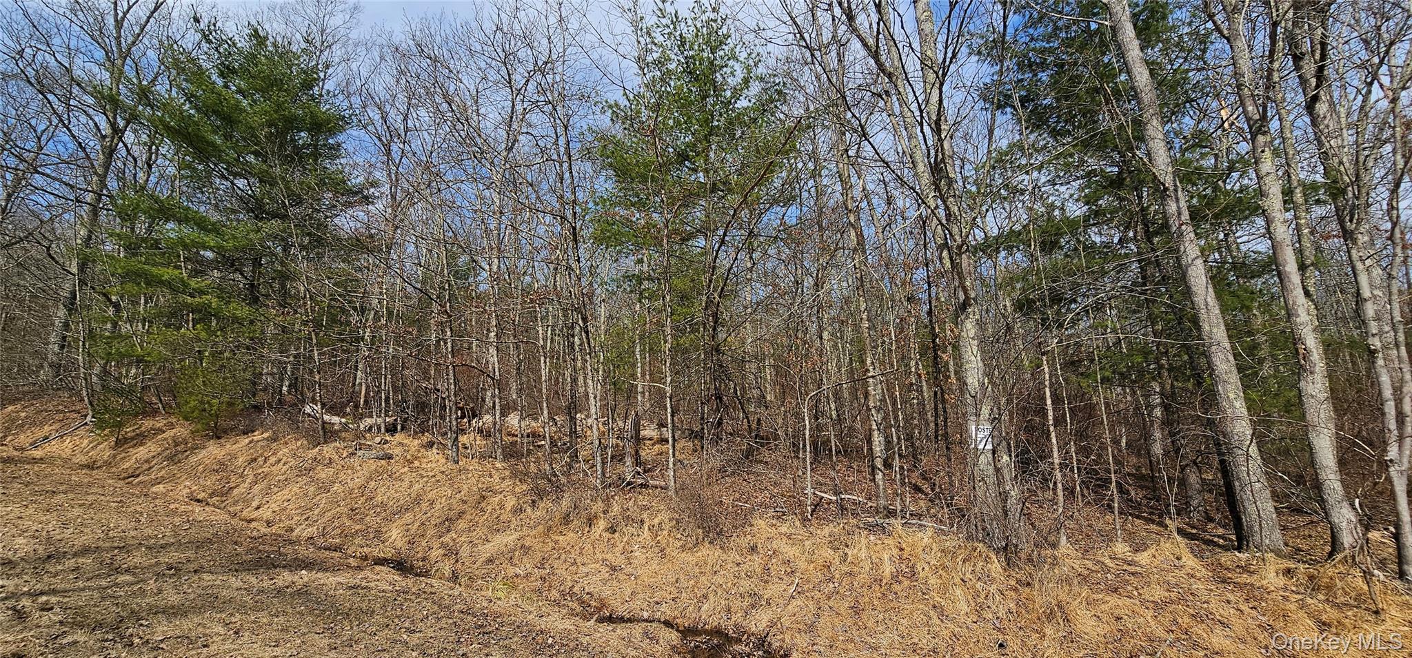 Lot 20.22 Woods Road Barryville, NY 12719 - Photo 6 of 20 a view of covered with trees