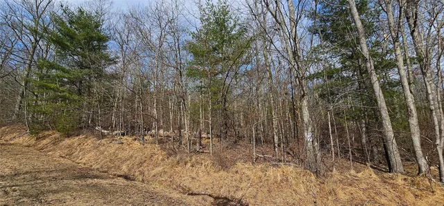 $94,900 | Lot 20.22 Woods Road, Barryville, NY 12719