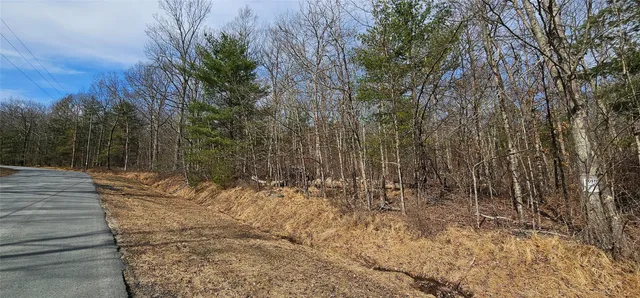 $94,900 | Lot 20.22 Woods Road, Barryville, NY 12719