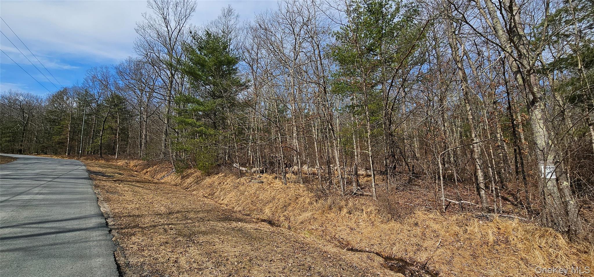 Lot 20.22 Woods Road Barryville, NY 12719 - Photo 7 of 20 a view of a yard with trees