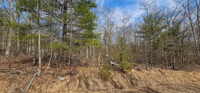 $94,900 | Lot 20.22 Woods Road, Barryville, NY 12719