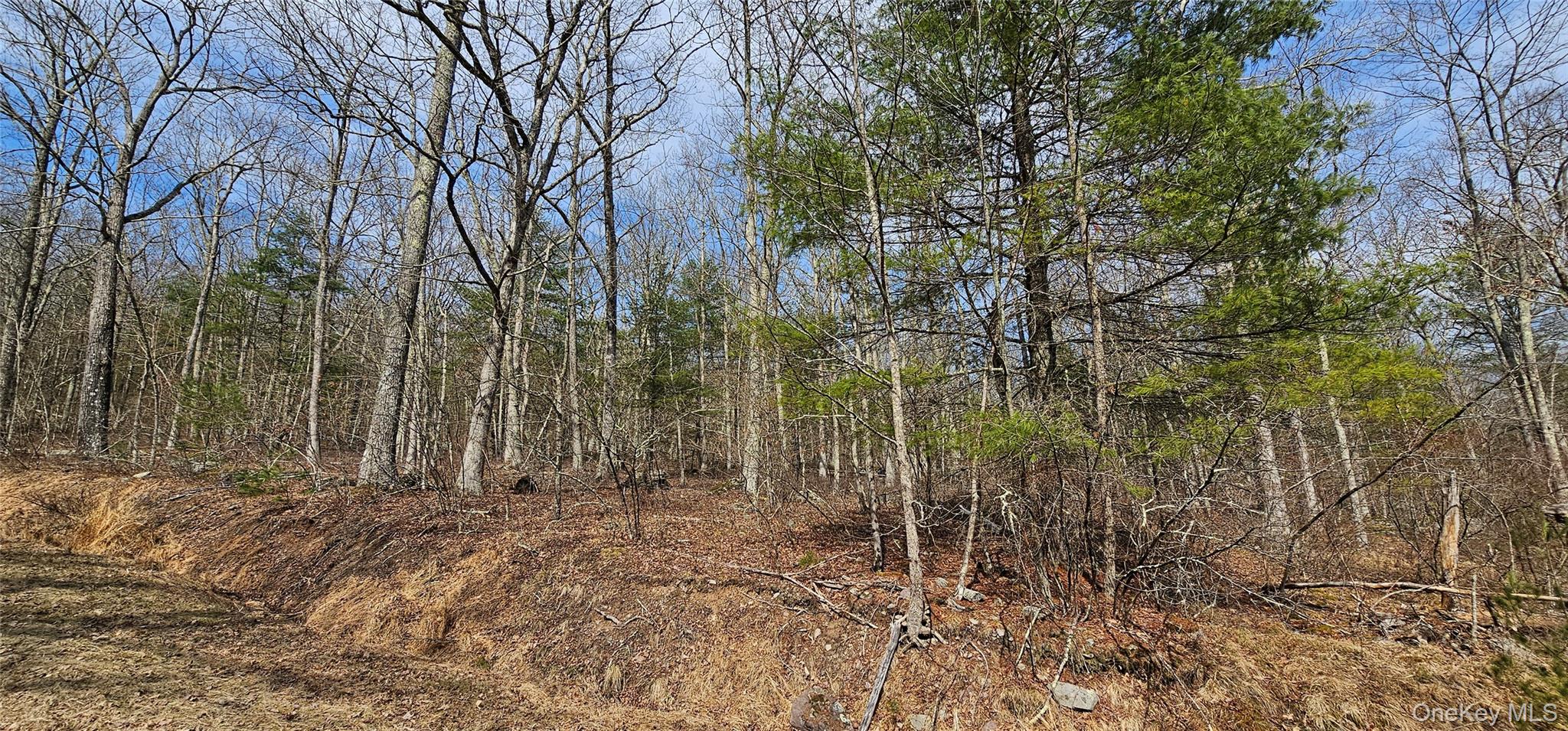 Lot 20.22 Woods Road Barryville, NY 12719 - Photo 9 of 20 a view of house with trees in a yard