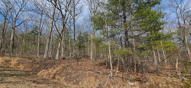 $94,900 | Lot 20.22 Woods Road, Barryville, NY 12719