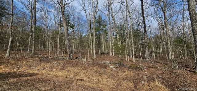 a view of outdoor space with trees