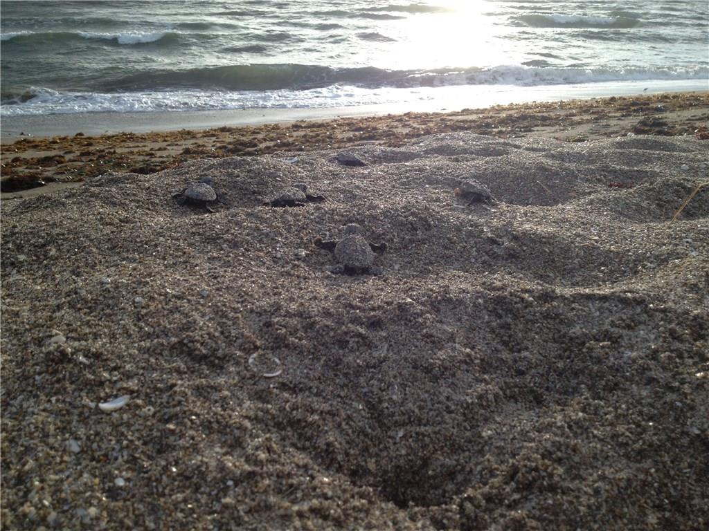 1800 Southeast Sailfish Point Boulevard Stuart, FL 34996 - Photo 18 of 21