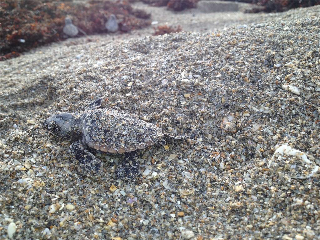 1800 Southeast Sailfish Point Boulevard Stuart, FL 34996 - Photo 19 of 21