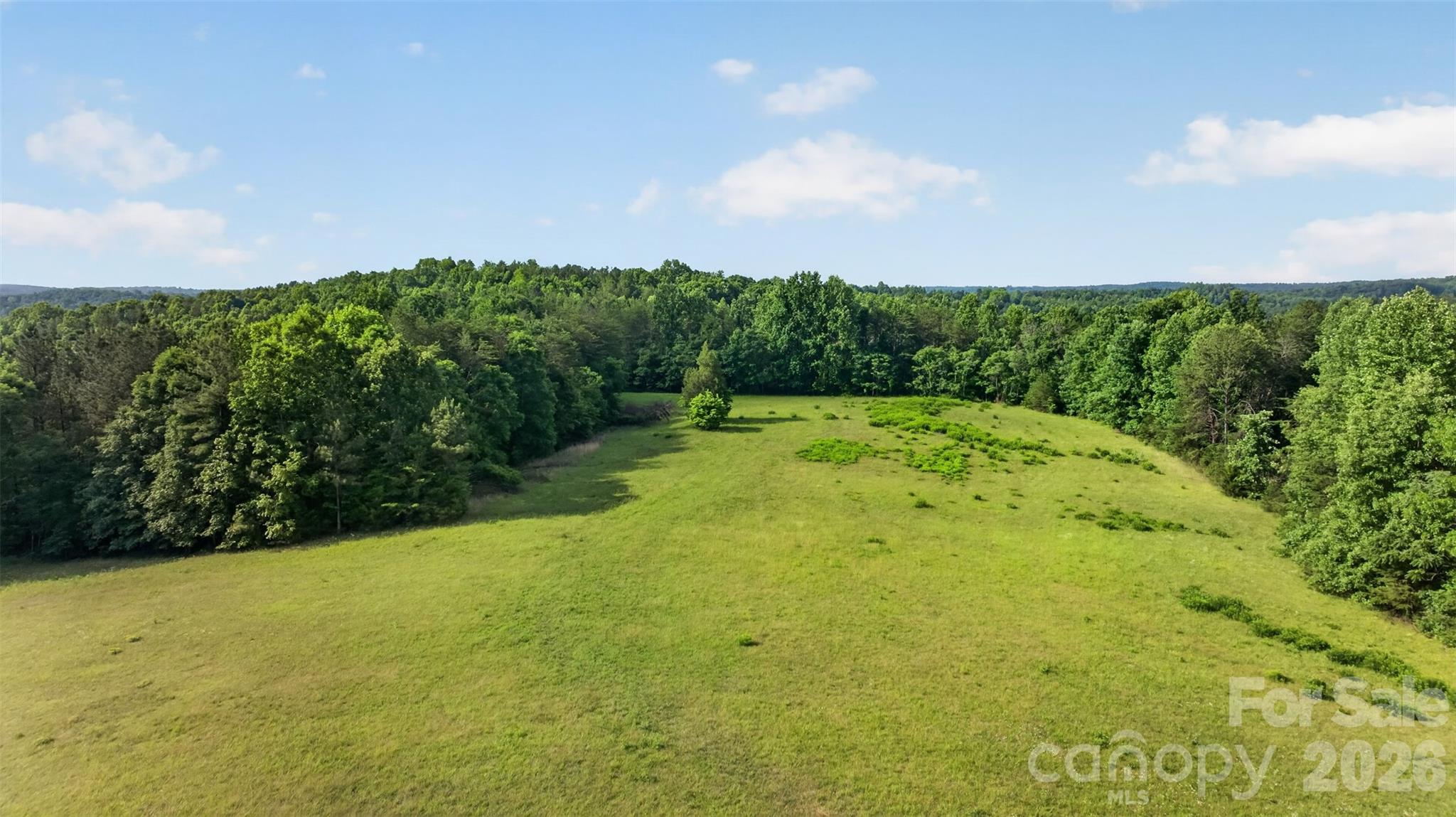 485 Frog Creek Road Union Mills, NC 28167 - Photo 9 of 44