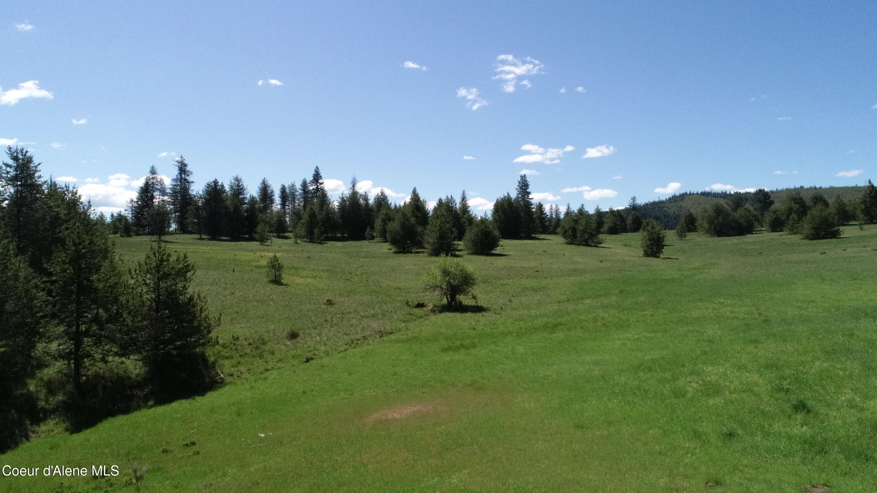 Nka Nka Tyson Creek Road St. Maries, ID 83861 - Photo 11 of 26 12
