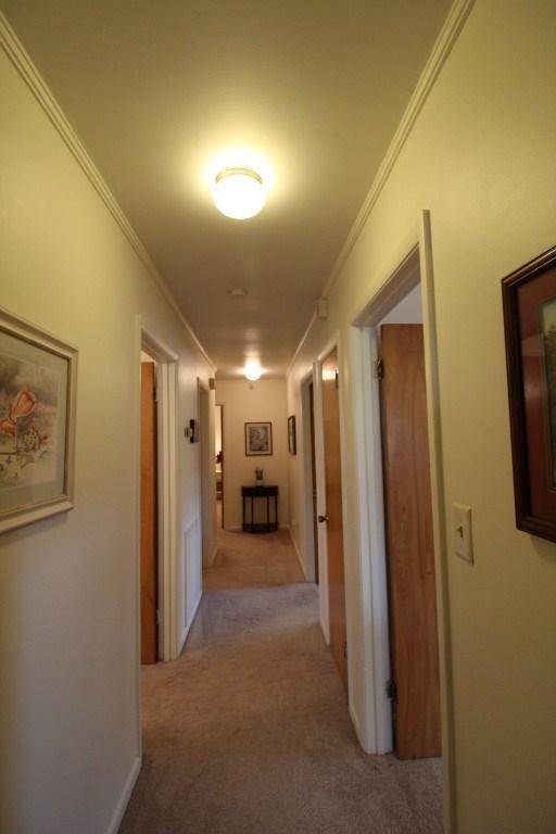 268 Hinch Street Spring City, TN 37381 - Photo 23 of 39 23