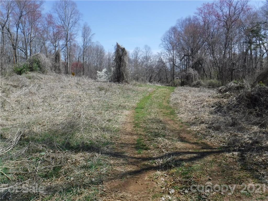 Lot 7 Whitesides Road Rutherfordton, NC 28139 - Photo 3 of 7
