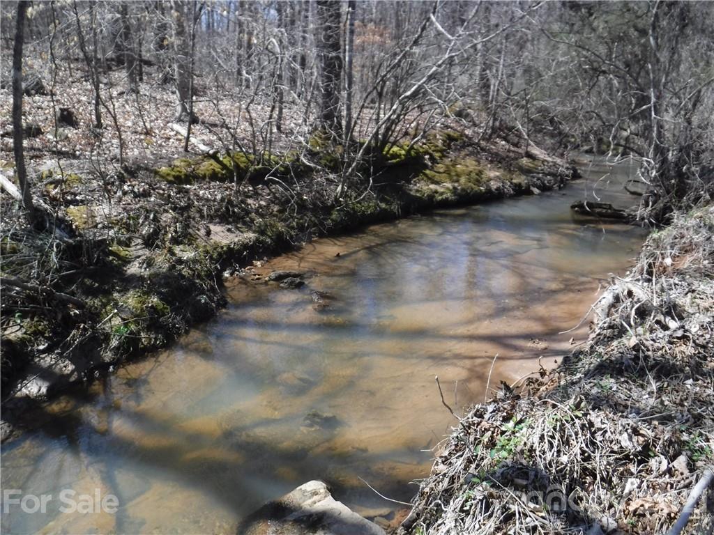 Lot 7 Whitesides Road Rutherfordton, NC 28139 - Photo 5 of 7