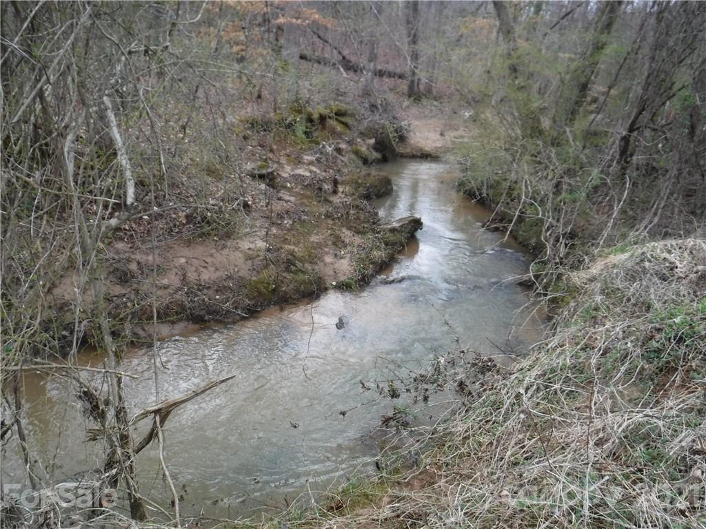 Lot 7 Whitesides Road Rutherfordton, NC 28139 - Photo 6 of 7