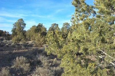 153 Woodlands Ranch Road Williams, AZ 86046 - Photo 1 of 5 Primary Photo