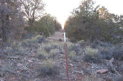 153 Woodlands Ranch Road Williams, AZ 86046 - Photo 4 of 5 Additional Photo