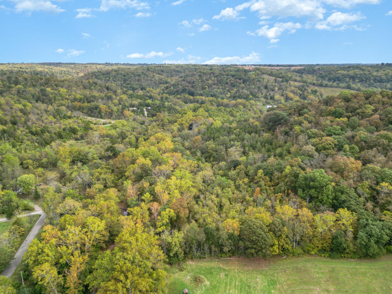 4499 Nelson Road Rising Sun, IN 47040 - Photo 11 of 16