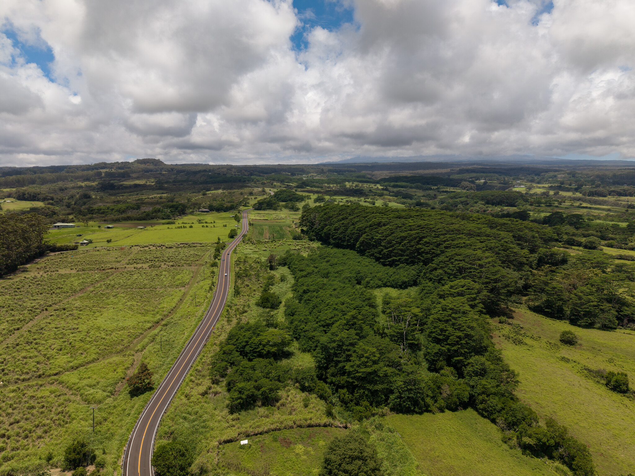 Akaka Falls Road Honomu, HI 96728 - Photo 10 of 17 Gallery Image 10