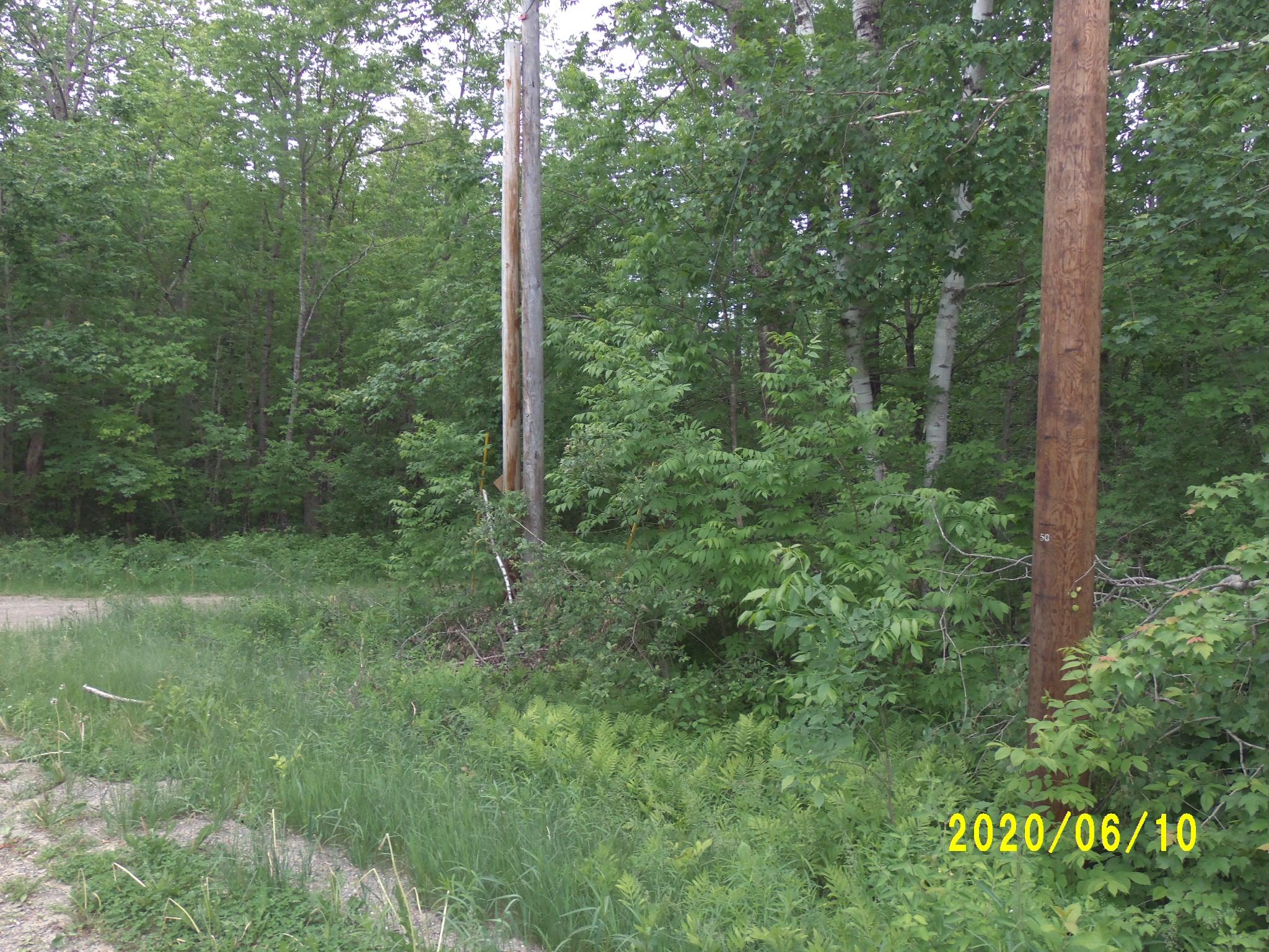 0 Palmer Meadow Road Dixmont, ME 04932 - Photo 3 of 9 125_4607