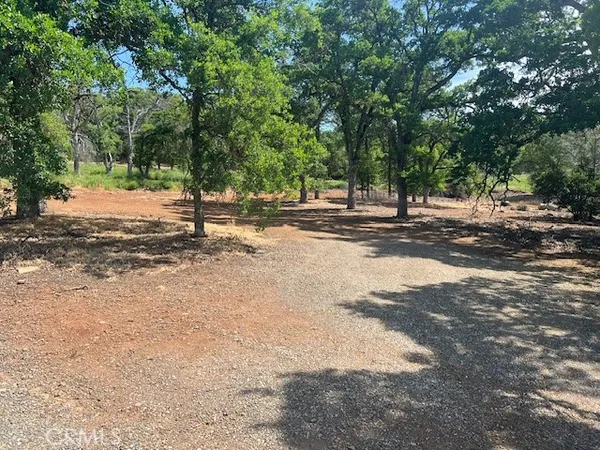 a view of a yard with a trees