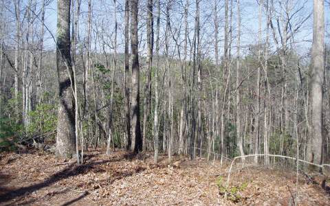 67 Mountain Tops Road Blue Ridge, GA 30513 - Photo 1 of 1 Main View