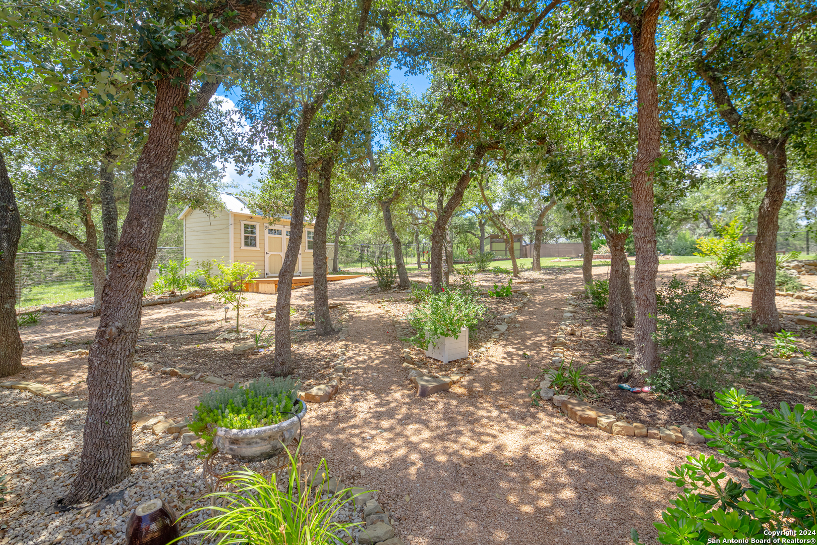 924 Rhinestone Canyon Lake, TX 78133 - Photo 30 of 41 a view of a yard with plants and trees