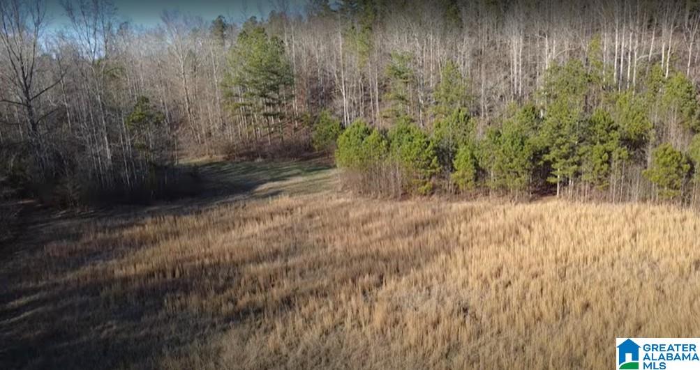 773 County Road 949, Unit 1 Fruithurst, AL 36262 - Photo 8 of 10