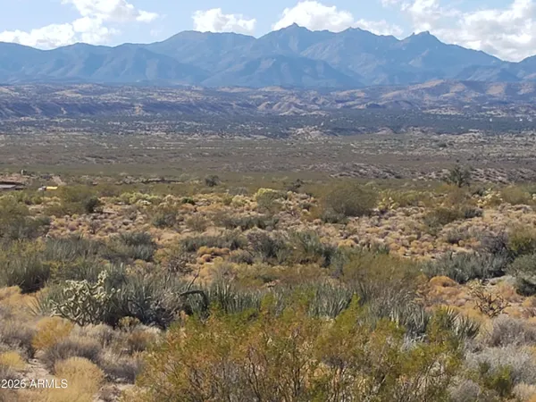 a view of a dry yard with mountains in the background