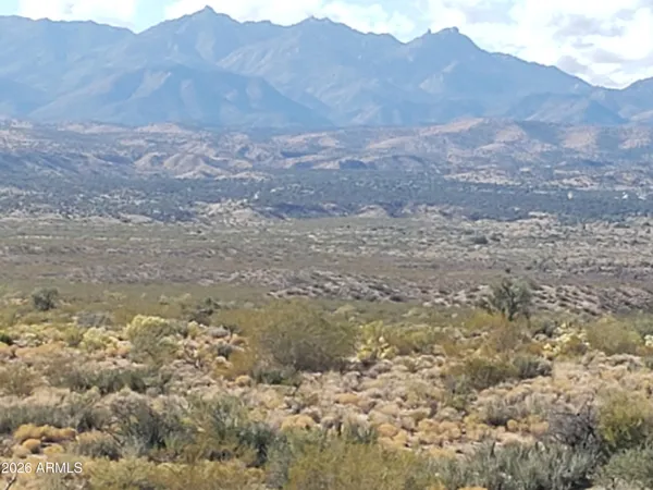 a view of lake and mountain