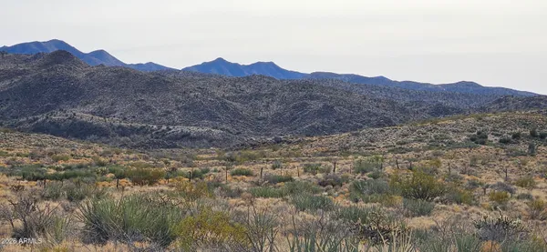 a view of a dry yard with mountains in the background