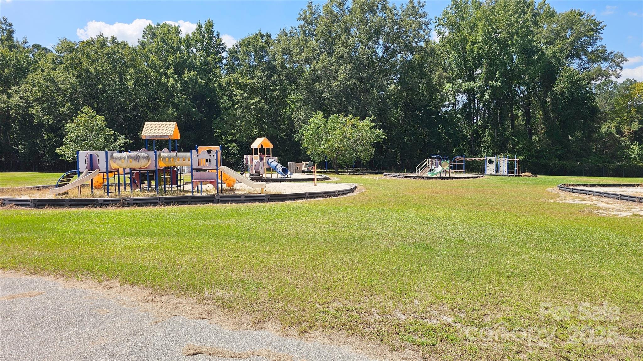 900 Patriot Street Dillon, SC 29536 - Photo 15 of 42 a view of a swimming pool with a slide