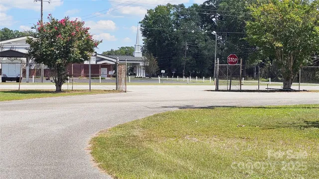 a view of a playground space and tree s
