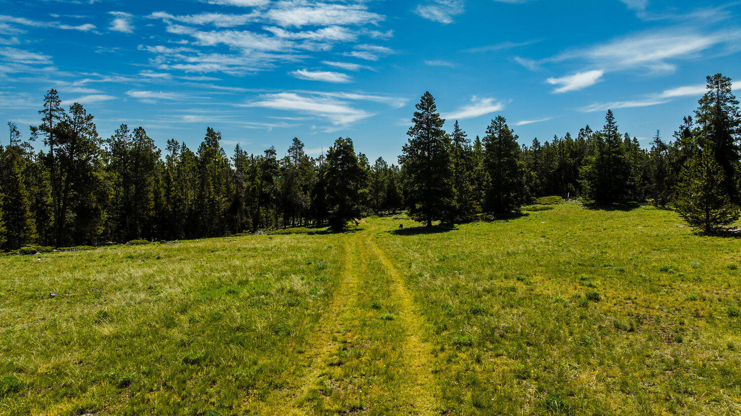 Hazelton Road Buffalo, WY 82834 - Photo 17 of 79 016_dji_20250628100626_0512_d_708