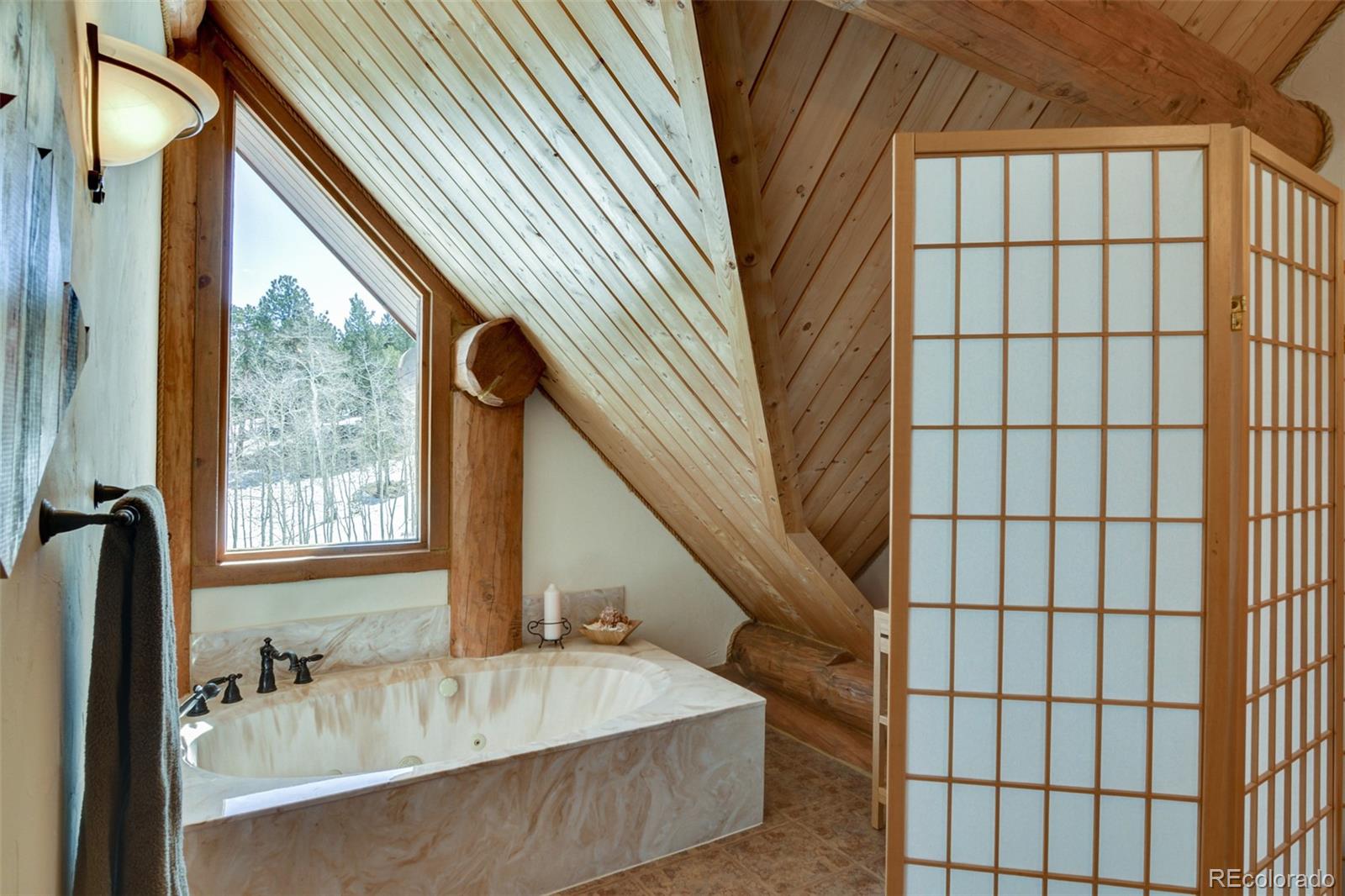 2120 Blacksmith Road Hartsel, CO 80449 - Photo 38 of 50 a bathroom with a bathtub and a sink