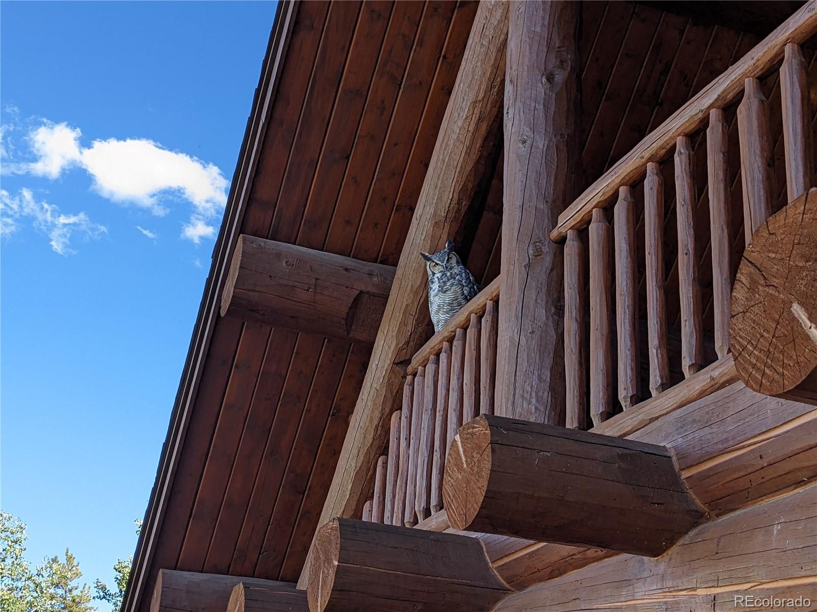 2120 Blacksmith Road Hartsel, CO 80449 - Photo 49 of 50 a view of balcony with wooden floor