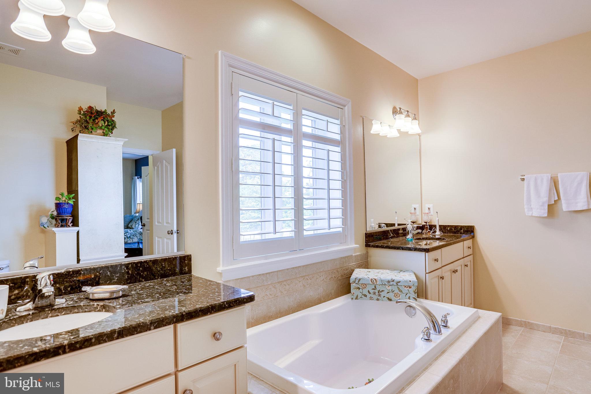 400 Standpipe Road Culpeper, VA 22701 - Photo 32 of 64 Primary bathroom with upgraded countertops