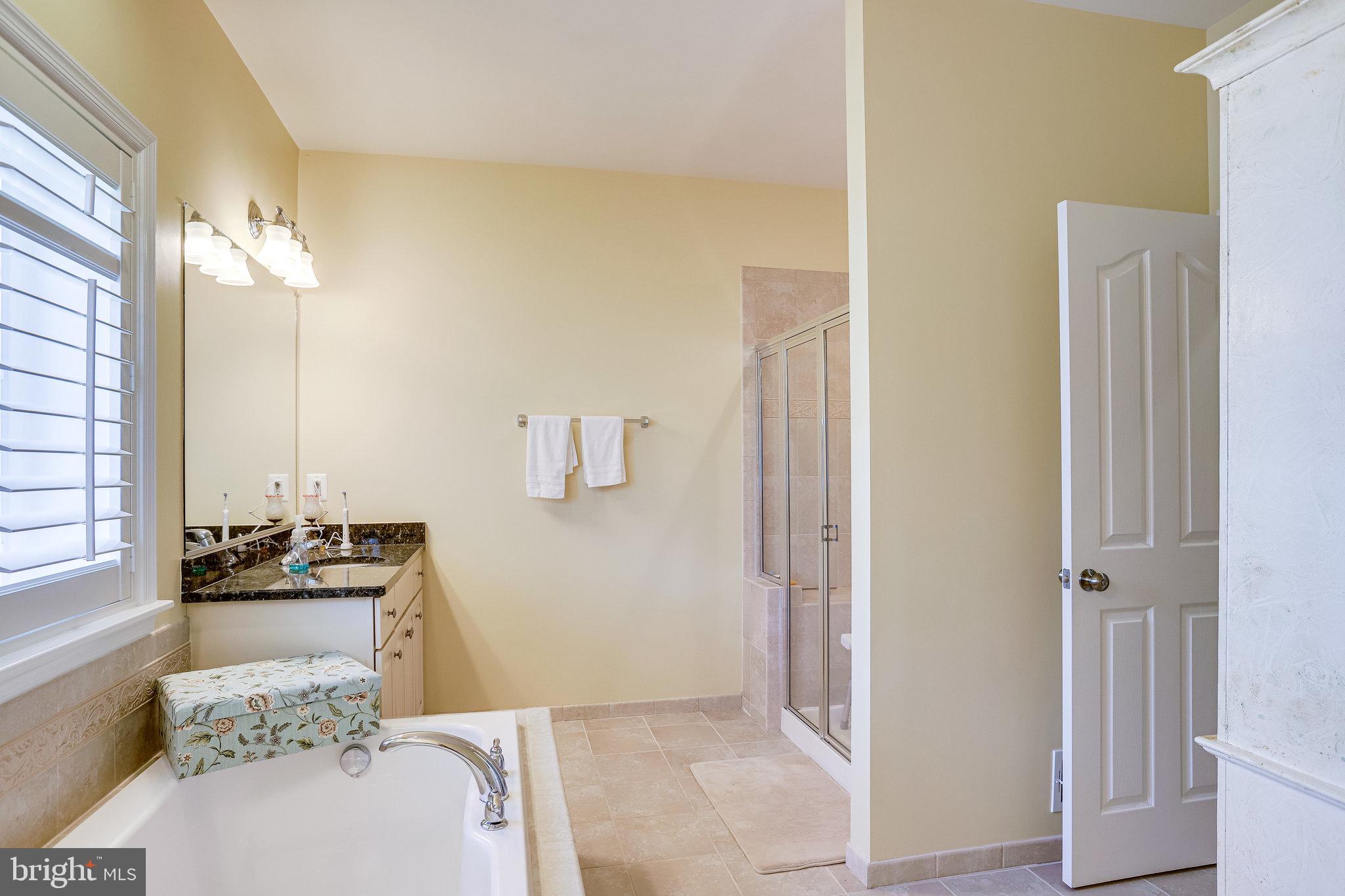 400 Standpipe Road Culpeper, VA 22701 - Photo 33 of 64 Primary bath with soaking tub