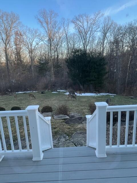 8590 Lavelle Road Athens, OH 45701 - Photo 101 of 113 Seasonal Pics