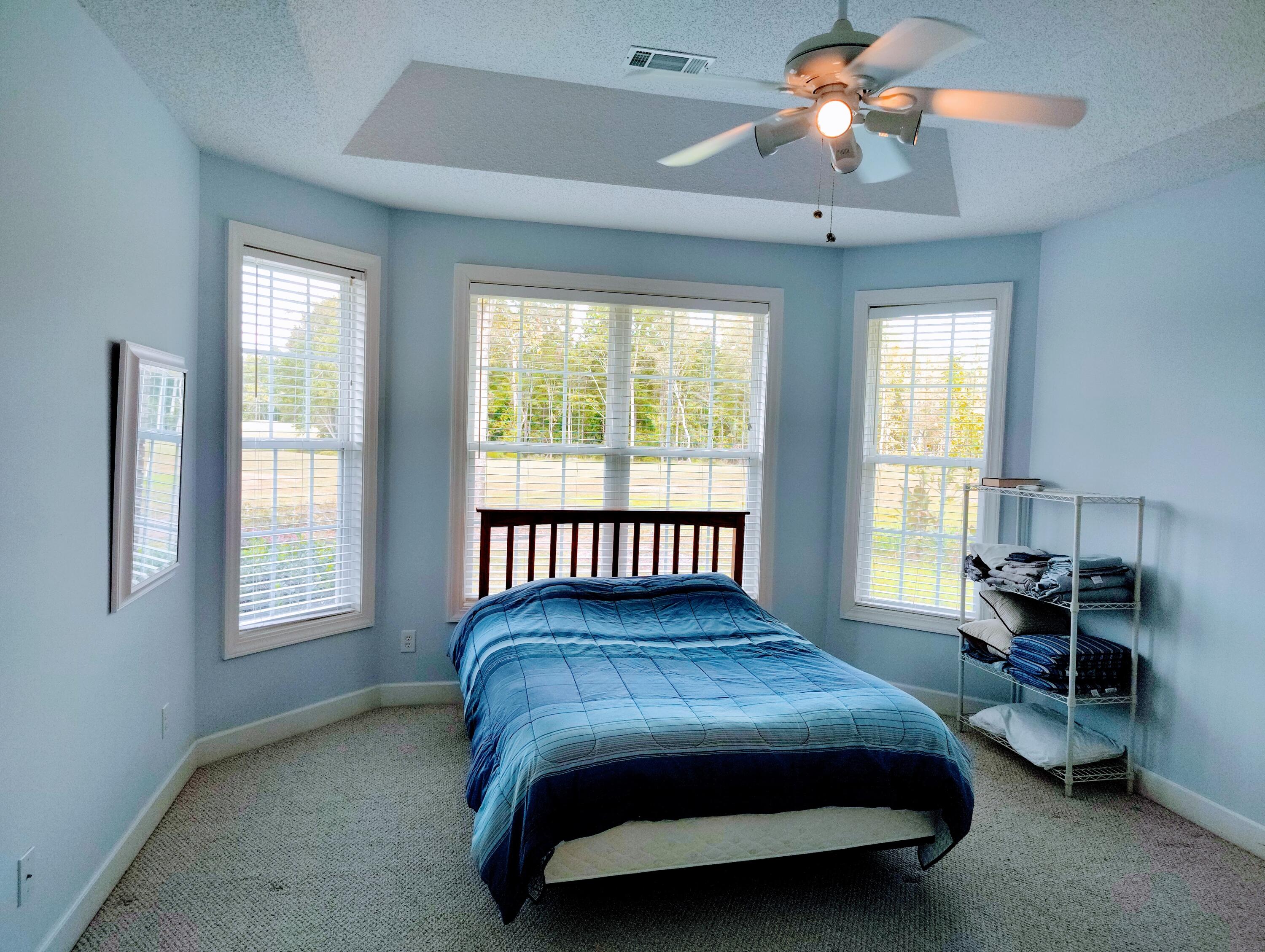 29 Lake Arbu Drive Manning, SC 29102 - Photo 29 of 54 Owner Bedroom