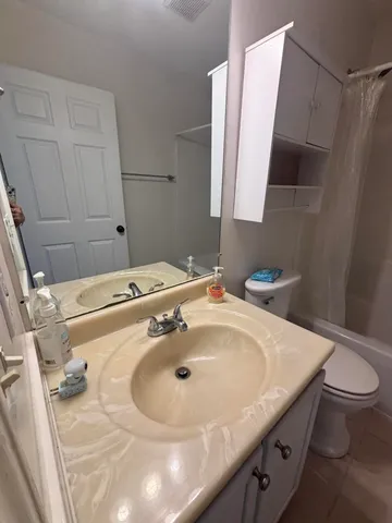 a bathroom with a sink and a toilet